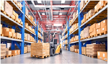 Movers And Packers in Vadodara